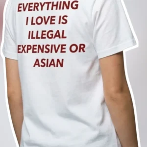 Everything I Love Is Illegal Expensive Or Asian Tee Funny Cultural Identity Graphic Shirt available at our Los Angeles warehouse